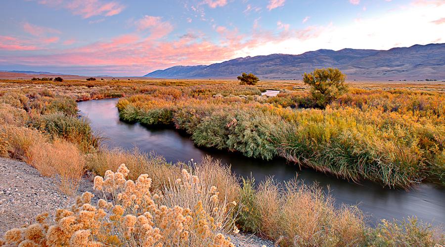 Inyo County Owens River