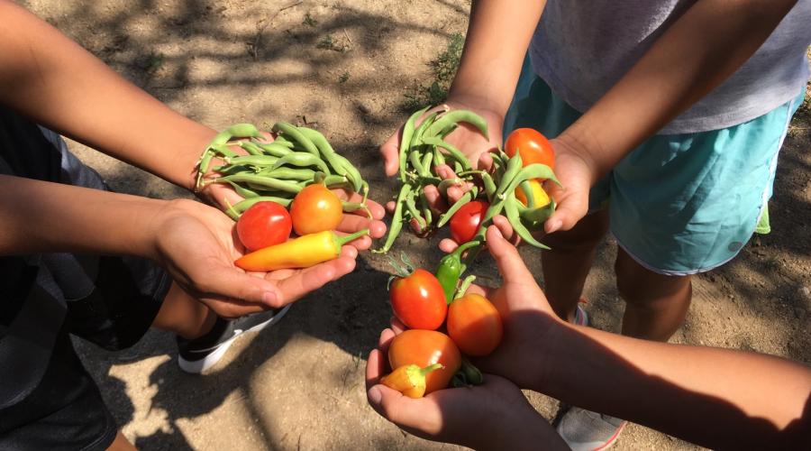 Photo of outstretched arms of youth holding their harvest from the Lone Pine Community Garden