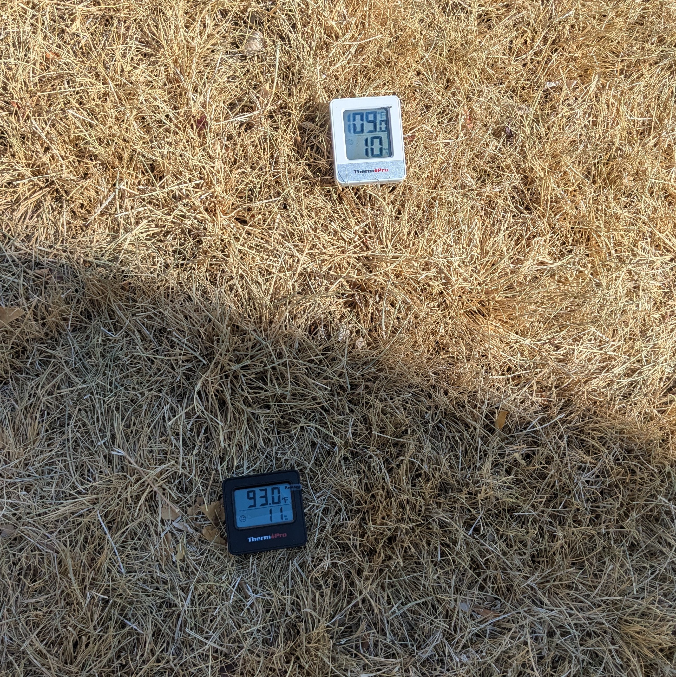 image of temperature gauges in grass